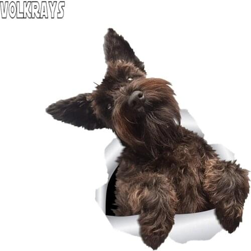 Volkrays 3D Brown Schnauzer Dog Car Sticker for Car Wall Toilet Kids Room Luggage Skateboard Laptop Decal PVC,15cm*15cm