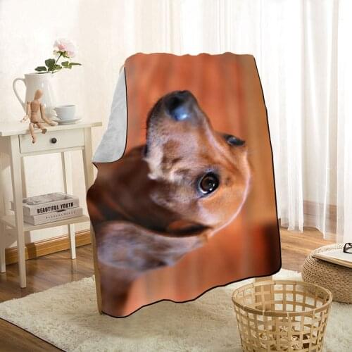 Cute Dachshund Dog Pet Throw Blanket Personalized Blankets On For The Sofa/Bed/Car Portable 3D Blanket For Kid Home Textiles