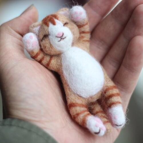 Sleeping Cat Needle Felting Kit for Beginner, Felting Starter Kit, Contains Enough Felting Wool and Tools, English Manual