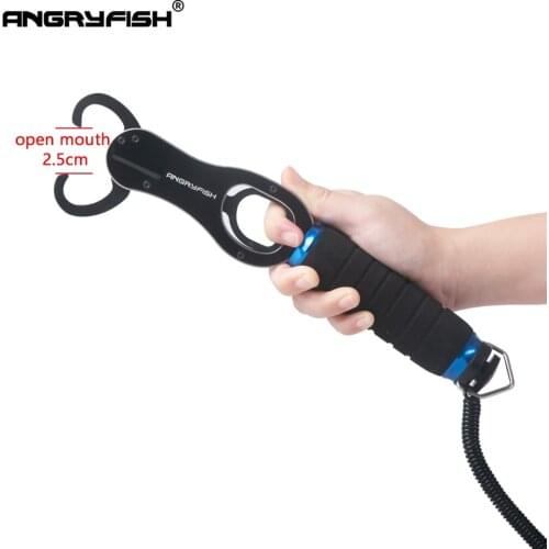 Одежда для девочек Angryfish China At AliExpress