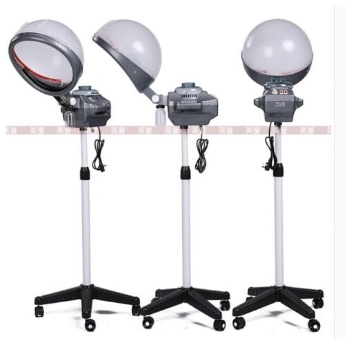 Multifunctional oil treatment machine. Ozone biochemical instrument. Hairdressing steam engine