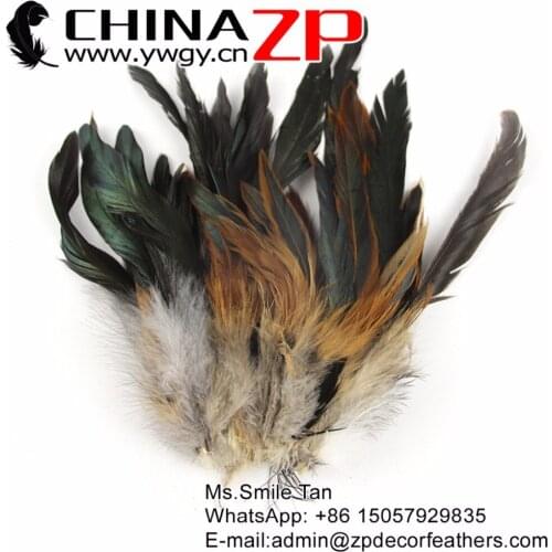 CHINAZP Factory Size 6"-8" (15-20cm) 200pieces/lot Selected Prime Quality Natural Half Bronze Chicken Coque Feathers