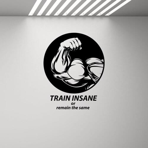 Train Insane Or Remain The Same Gym Wall Decal Sign Quote Poster Vinyl Sport Wall Sticker Fitness Inspirational Decor Mural X461