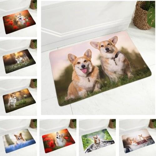 Cute Welsh Corgi Pembroke Dog Doormat Non-Slip Soft Flannel 40x60cm Rug Decor Pet Animal Floor Door Mat for Hallway Kitchen Room
