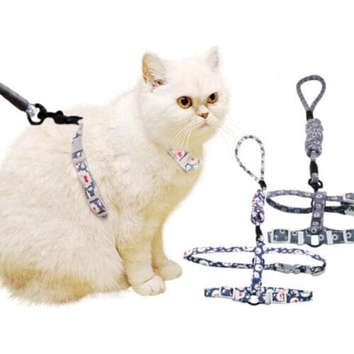 Anti Lost Cat Chest Leash Belt Breathable Pet Vest Small Medium Cat Dog Chest Strap Firm Traction Rope Comfortable Pet Supplies