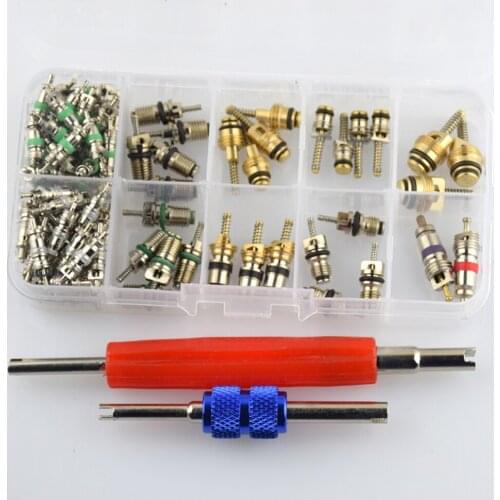 102pcs Valve Core Stem Cap Air Conditioner R12 R134 Remover Tool
