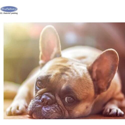 Diamond Mosaic DIY 5D Diamond Painting Bulldog Full Square Round Drill Pet Dog Diamond Embroidery Cross Stitch Decoration New