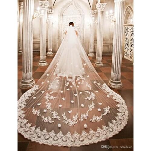 2021 Designed Wedding Veils Cathedral Length Bridal Veils Lace Edge Appliqued One Layers Customized Bridal Veil With Free Comb
