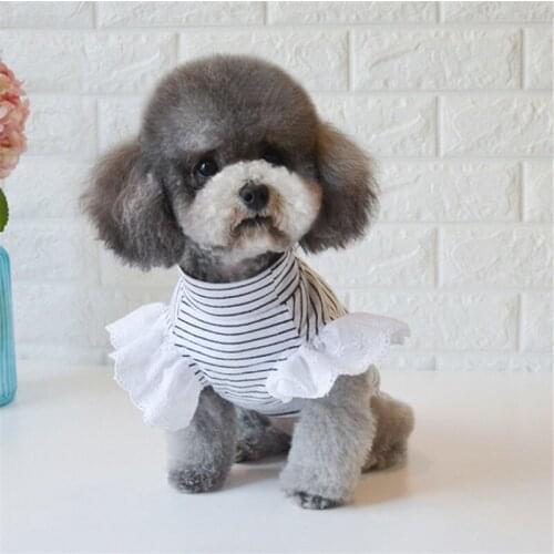 Summer Dog Shirt Cat Puppy Dog Clothes Small Dog Costume T-shirt Yorkie Poodle Pomeranian Bichon Frise Schnauzer Pet Clothing