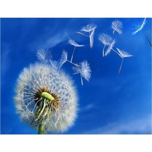 Blue Dandelion 5D Diy Diamond Painting Full Square Round Drill Diamond Embroidery Mosaic Pictures By Numbers NeedleworkZP-1688