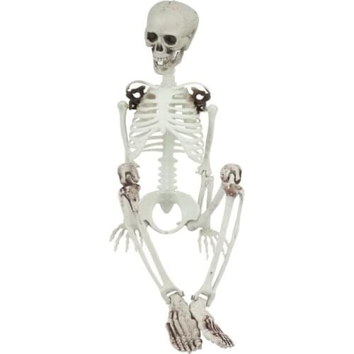 Halloween 90CM Skeleton PVC Simulation Human Bone Skull Decoration Decoration Props Bar Haunted House Secret Room Party