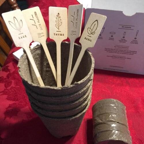 DIY Garden Starter Kit Handmade Durable Grow Set Growing Herbs Indoor Planting For Home Window Sills Apartments