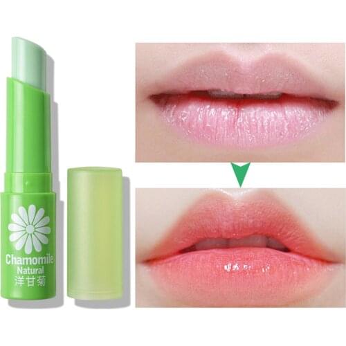 Winter Lip Balm Moisturizing Lipstick Base Moisturizer Makeup Natural Plant Anti-Cracking Lip Care Healthy Jelly Lip Balm