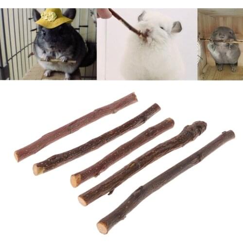 Let’s Pet Toys For Cats