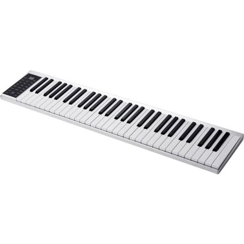61 Keys Digital Electronic Piano Keyboard MIDI Output 128 Tones & Rhythms 14 Demo Songs Recording Programming Playback Tutorial