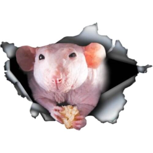 Creative Hairless Rat 3D Pet Car Sticker Accessories Motorcycle Waterproof Car Window Decal PVC 13cm X 9cm