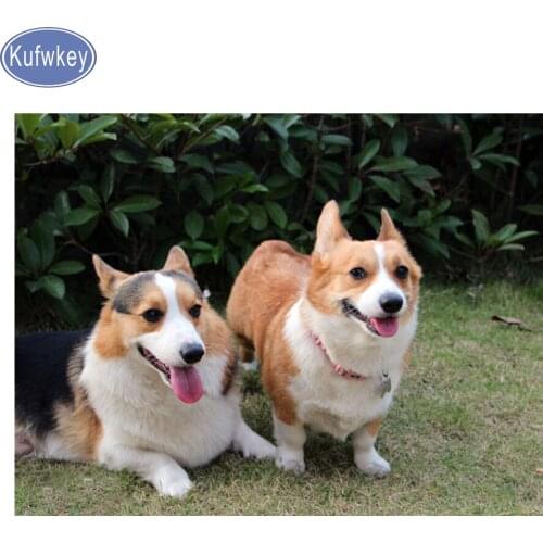 New picture 5D Diy Diamond Painting welsh corgi pembroke,Diamond Embroidery animal mosaic Painting,puzzles 5d Diamond,home decor