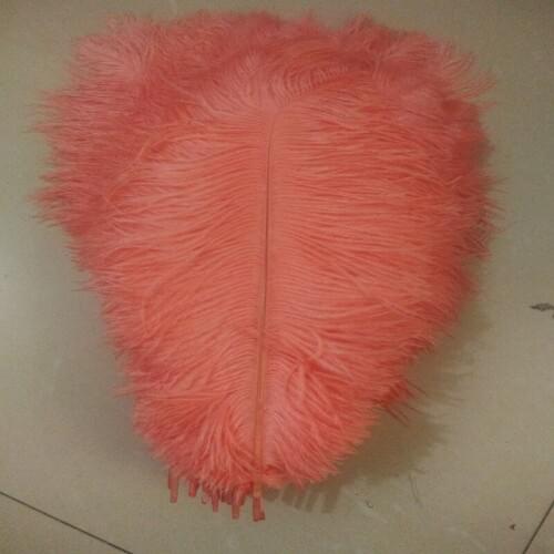 Wholesale 100 PCS Watermelon red 55-60 cm/22-24 inches ostrich feathers Wedding Birthday Christmas Decorations performing decorations