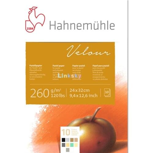 Hahnemuhle Pastel 10 Color Velour Pad, 260gsm 10 Sheets,Soft, velour coated paper allow pastels to adhere naturally,art supplies