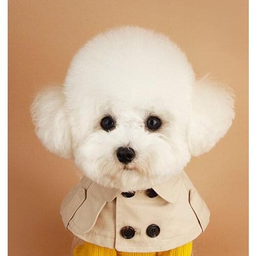 Teddy Cloak Cute Saliva Towel British Style Dog Bib Windbreaker Cloak Puppy Clothes Teddy Chihuahua Costume