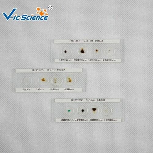 50pcs Biological slide paraffin slide composite biological slide multiple material slides plant and animal prepared slides