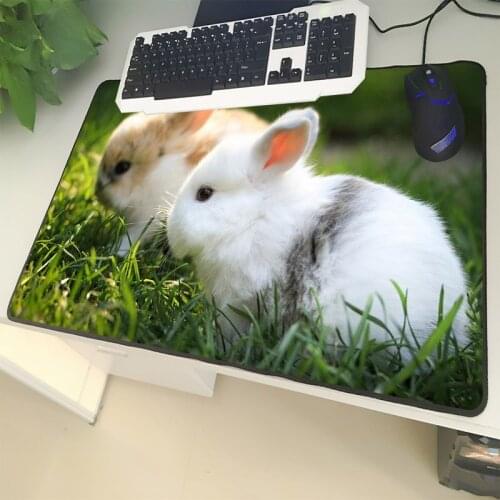 XGZ Animal Large Size Mouse Pad Lock Black Side White Cute Rabbit Grass Pattern Laptop PC Table Mat Rubber Non-slip Universal