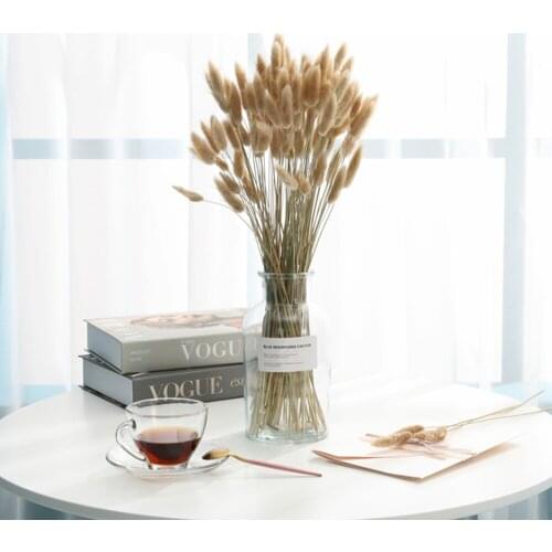 50Pcs Natural Rabbit Tail Grass Real Cute Dried Flowers Bouquet Fluffy Pampas Grass Decor Garden Decoration Outdoor Wedding