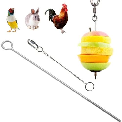 Hanging Feeder For Hens Birds Parrots Cockatoo Bird Feeder Stainless Steel Bird Feeder Toy Chicken Fruit Vegetable Holder