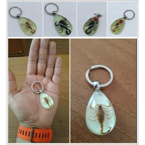 Motorcycle style scorpion luminous wear key chain crafts accessories for Ducati 800SS 800 Supersport 900SS 900 Sport 916