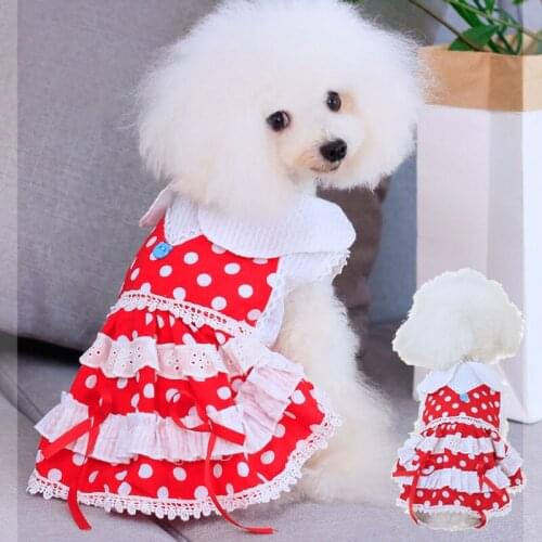 Pet Clothe Dog Dress Dot Lace Small Dog Skirt Summer Pomeranian Teddy Yorkshire Corgi Bichon Shih Tzus Dog Costume Drop Shipping