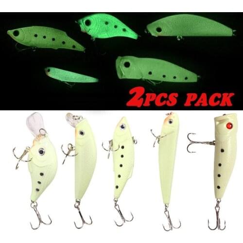 2PCS Luminous Minnow Fish Fishing Lures Bass Wobbler Popper Bait Artificial Hard Fish Lures Fishing Hook Tackle