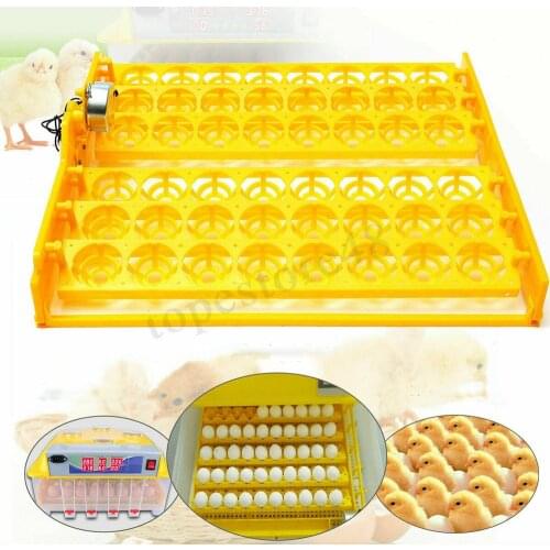 220V 56-Egg Incubator Turner Tray Chicken Duck Goose Birds Incubator Brooder