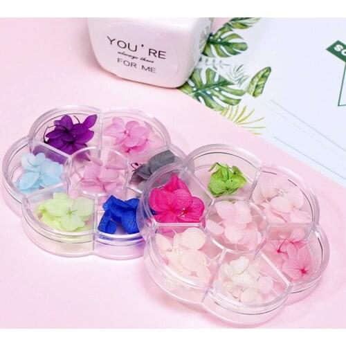 6 Colors /Box Dried Flowers Nail Art 3D DIY Mixed Dry Flower /Natural Flower Design Sticker Decal For Manicure&Tips Decoration