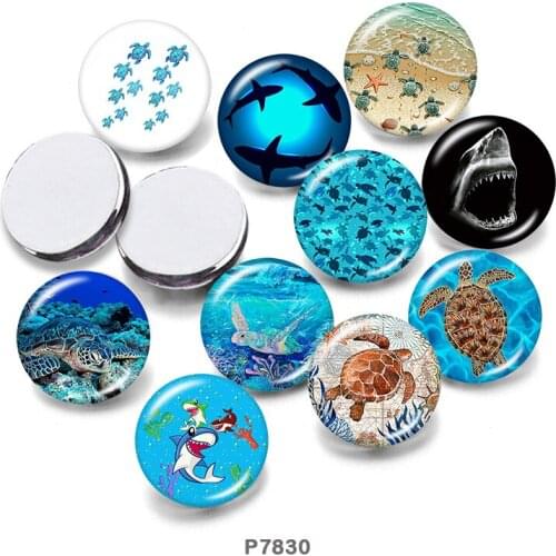 Sea animals 12mm/18mm/20mm/25mm/30mm Round Glass Cabochon Flat Back Making Findings P7830