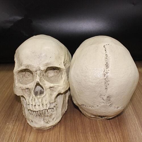 Small Resin Head Skull Replica Haunted House Room Escape Horrible Supplies Halloween Props Gags toy