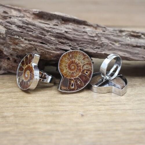 Real Ammonite Conch Adjustable Rings Natural Fossils Stone Shell Sea Snail Silvery Finger Ring Women Jewelry Dropshipping,QC4048