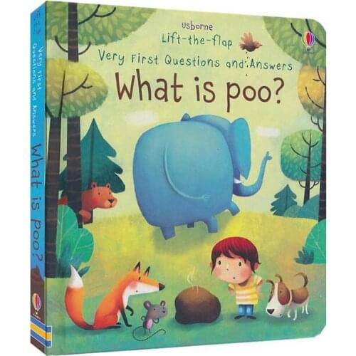 3D lift the flap very first questions and answers What is Poo flip picture board book kids children early education
