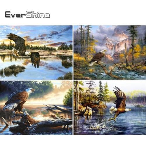 EverShine 5D DIY Diamond Embroidery Animal Rhinestones Diamond Painting Eagle Cross Stitch Mosaic Full Drill Square Handicraft