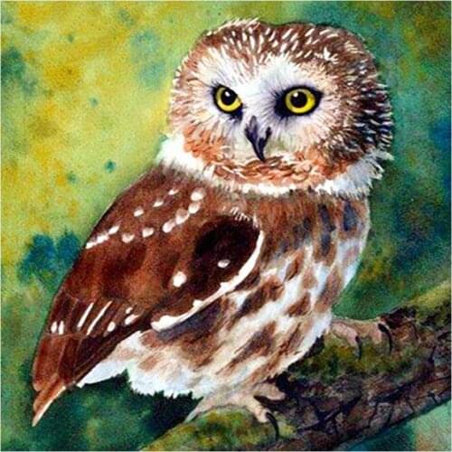 Striated-Bellied Owl Diamond Painting Round Full Drill Nouveaute DIY Mosaic Embroidery 5D Cross Stitch Animal Oil Pattern