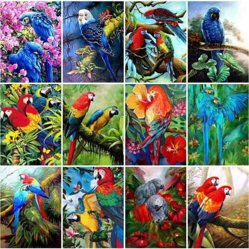 EverShine Full Square Diamond Painting Parrot Diamond Embroidery 5D DIY Animal Picture Rhinestones Mosaic Decor For Home