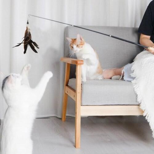 3 Pcs Pet Cat Toy Newly Design Bird Feather Plush Plastic Toy for Cats Cat Catcher Teaser Toy