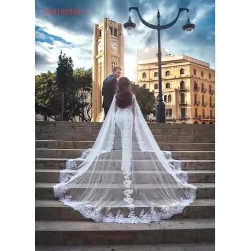 Real Images Bridal Veils Cathedral Length Luxurious Wedding Veils White Ivory Lace Applique Edge Wedding Veil With Combs