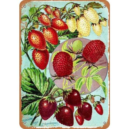 1902 Tree and Bush Strawberries Old Fashion Metal Tin Sign Vintage Look Sign Metal Plaques for Pub Man Cave Bar Club P