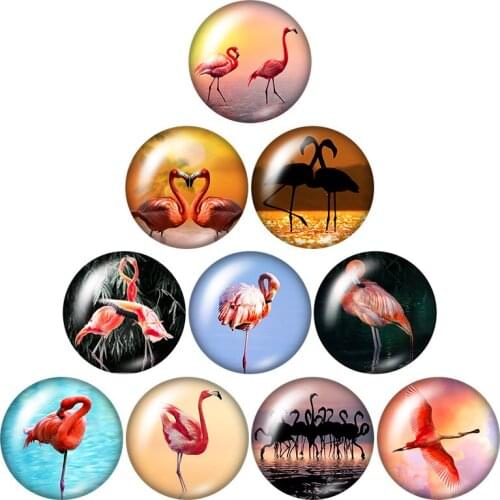 New Lovely animals Flamingo Pig Duck 10pcs mixed 12mm/16mm/18mm/25mm Round photo glass cabochon demo flat back Making findings