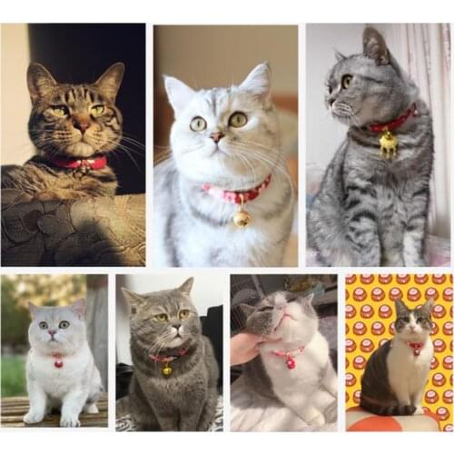 Cat Collar Dog Pest Control Pet Collar Bell Cat Necklace Cat Collar Lettering Cat Brand Fashion Luxury E11392