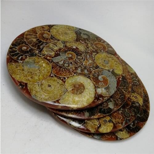 1 pc 115mm Natura Shell a compassl MADAGASCAR FOSSIL SPECIMEN Ammonite Fossil Slice Plate healing crystal ornament
