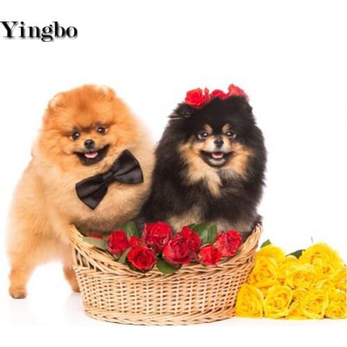 5D DIY Diamond Painting Sale cross-stitch Pomeranian dog embroidery mosaic rhinestones picture Full Drill Square round