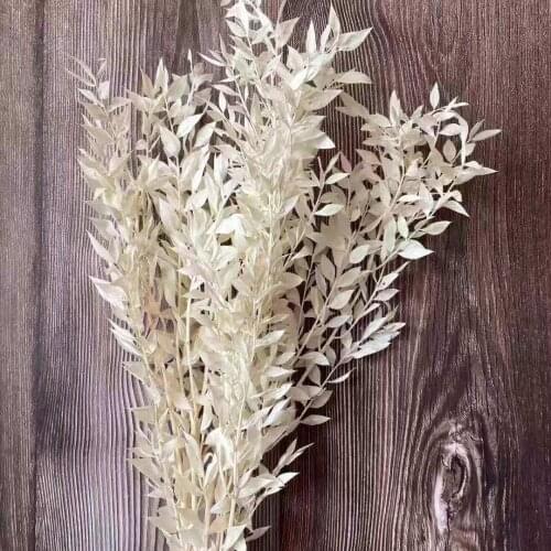 30g/40-45cm,Natural Dried flowers white Fugui Leaves Branches,Display bouquet de mariage flowers Wedding Home fall Decorations