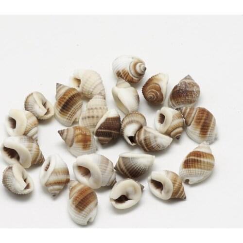 500g/lots Natural Spiral Cowrie Shell Loose Beads for Jewelry Making Bracelet Necklace Earring Making