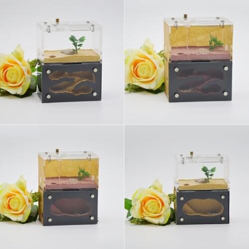 Double-layer Concrete Ant Nest Pet Ant Castle Acrylic Activity Area Ant Farm 95x65x120mm